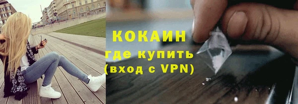 прущие грибы Туринск