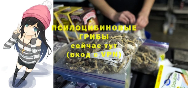 первитин Богданович