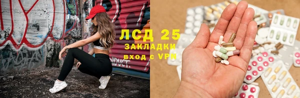 прущие грибы Туринск
