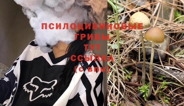 альфа пвп Богородицк
