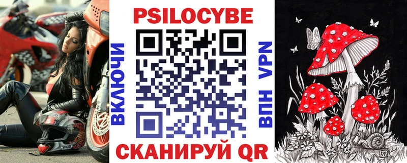 Галлюциногенные грибы Psilocybine cubensis  Кимры 